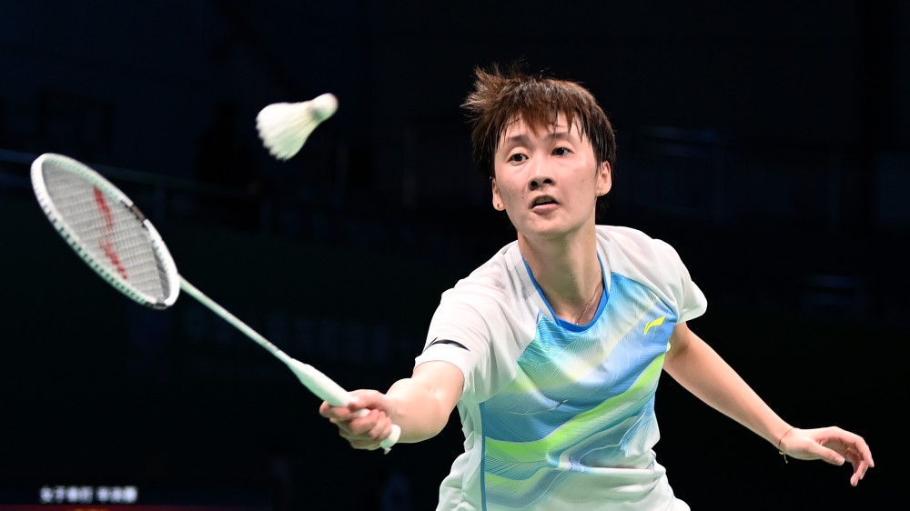 增加了粉丝 增加了粉丝